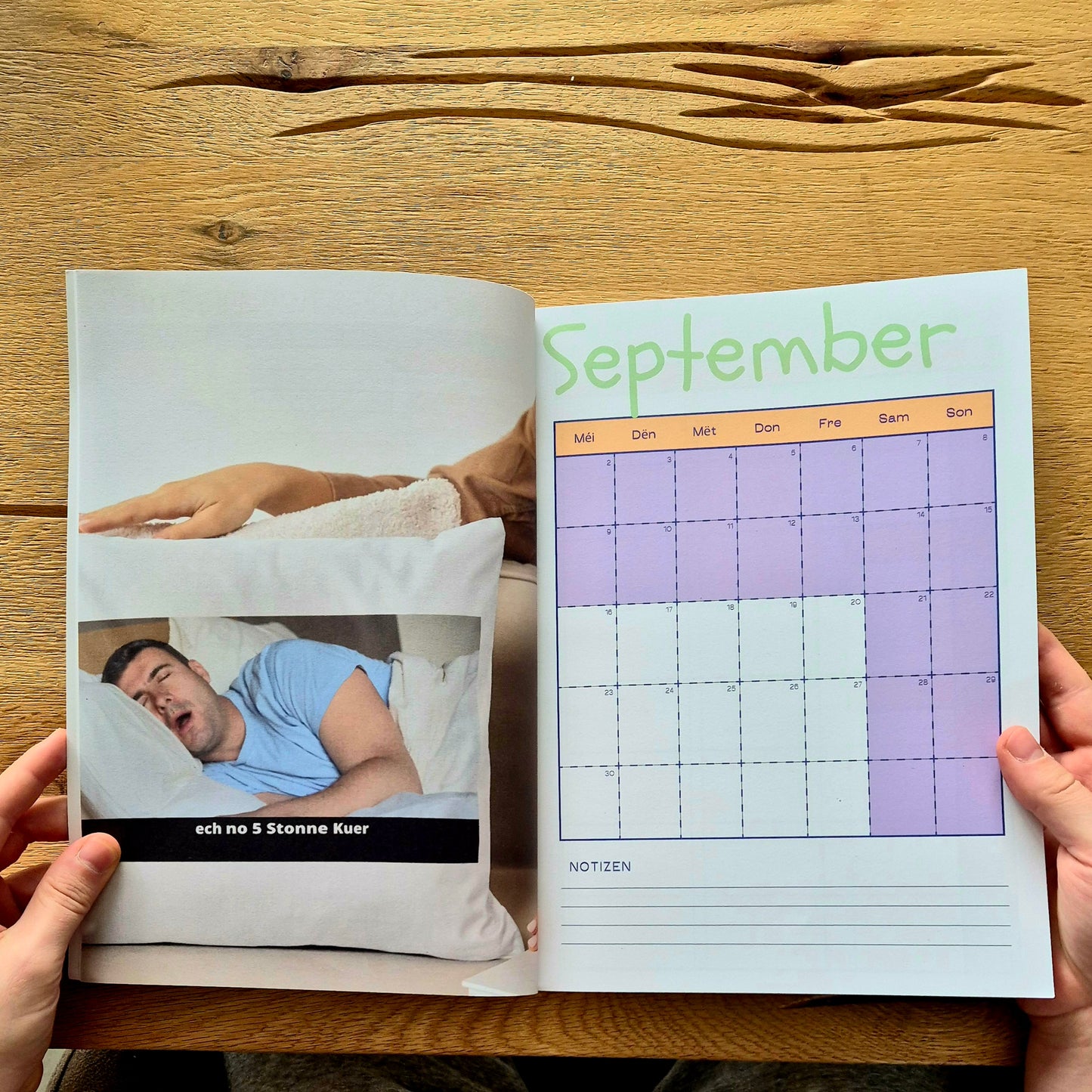 Proffeplanner (PRE-ORDER)