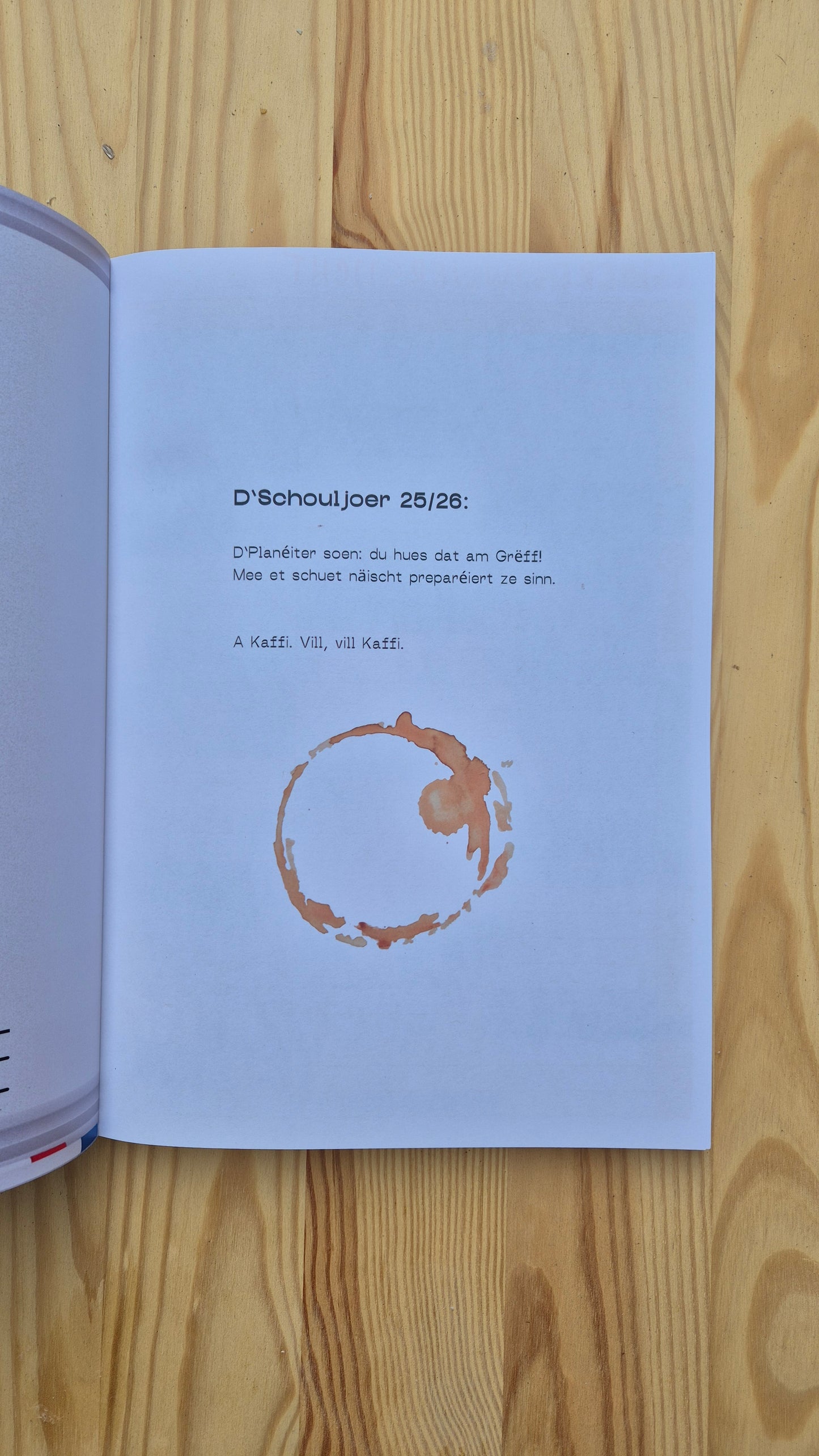 Proffeplanner (PRE-ORDER)